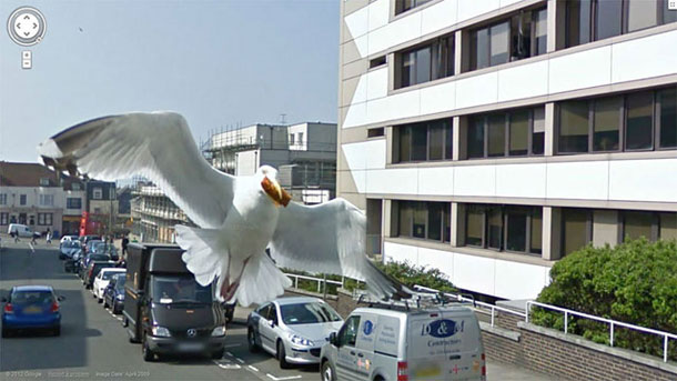 80-funniest-creepiest-strangest-disturbing-google-street-view-images (8)