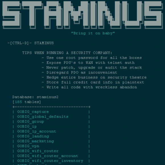 anti-ddos-firm-staminus-hacked-private-data-posted-online