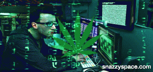 Washington State Marijuana Tracking System Hacked to Steal Route Data