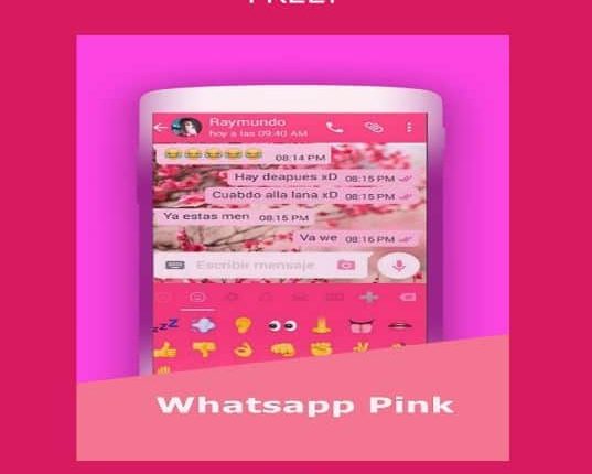 Fake WhatsApp pink offering new features (Image: Rajshekhar Rajaharia)