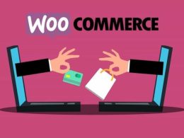 What is WooCommerce, and Why You Should Care