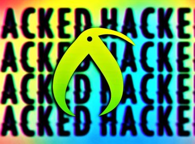 Kiwi Farms Website Hacked, Emails, Passwords, Device IPs May Be Leaked