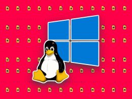 New DDoS Malware ‘Chaos’ Hits Linux and Windows Devices