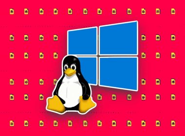 Chaos Malware Targeting Linux and Windows Devices