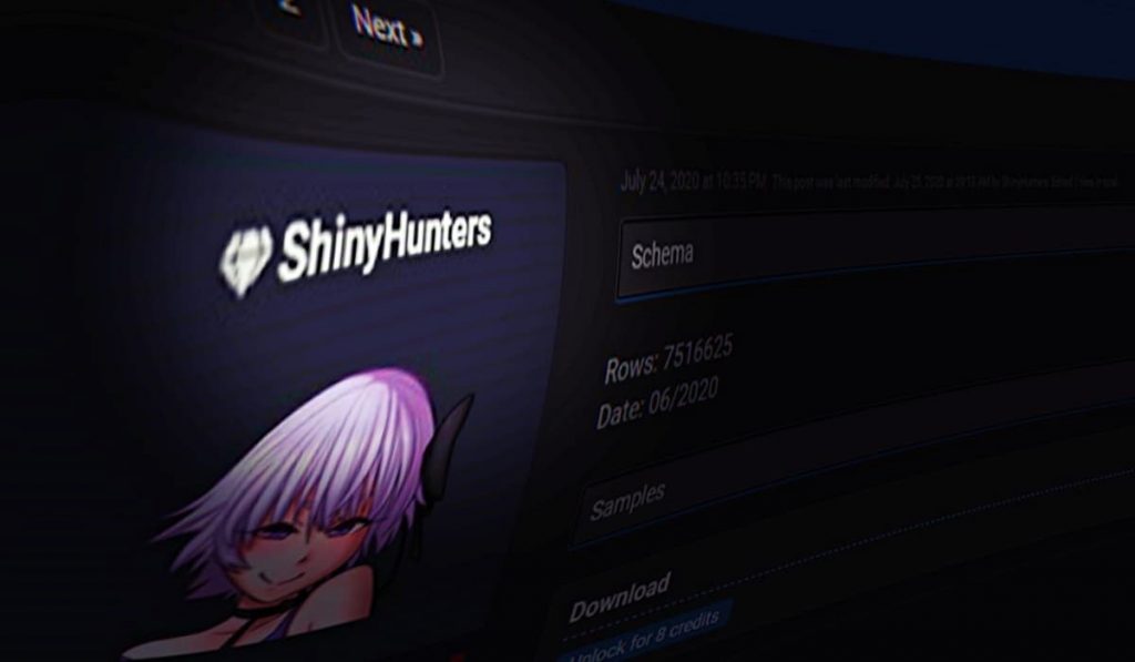 Alleged ShinyHunters Hacker Group Member Arrested