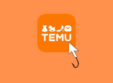 Over 800 Phony "Temu" Domains Lure Shoppers into Credential Theft