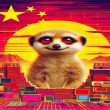 Muddling Meerkat Group Suspected of Espionage via Great Firewall of China